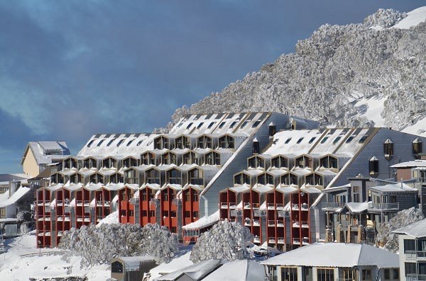 Snow gums under fresh powder at an alpine resort